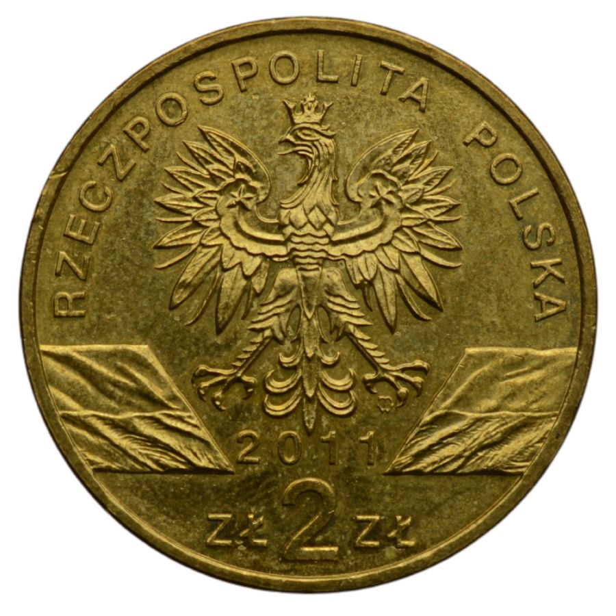 2 osoby - Zwierzeta swiata - Borsuk