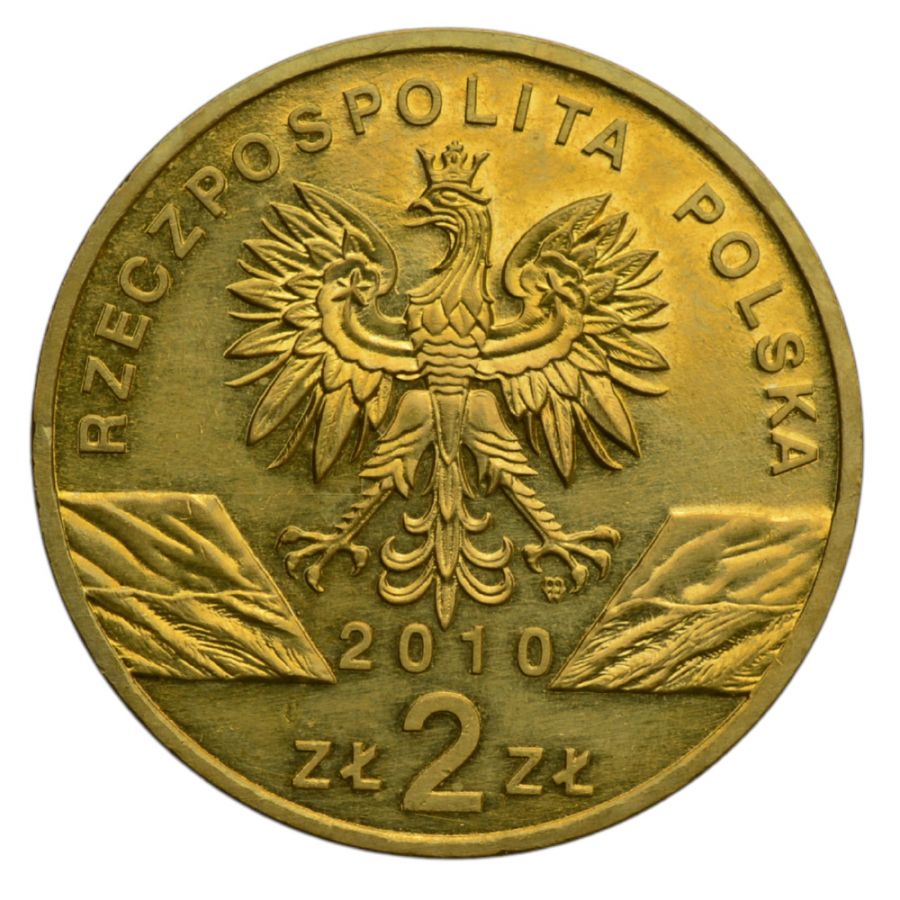 2 osoby - Zwierzeta swiata - Podkowiec Maly