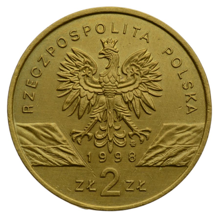 2 osoby - Zwierzeta swiata - Ropucha Paskуwka