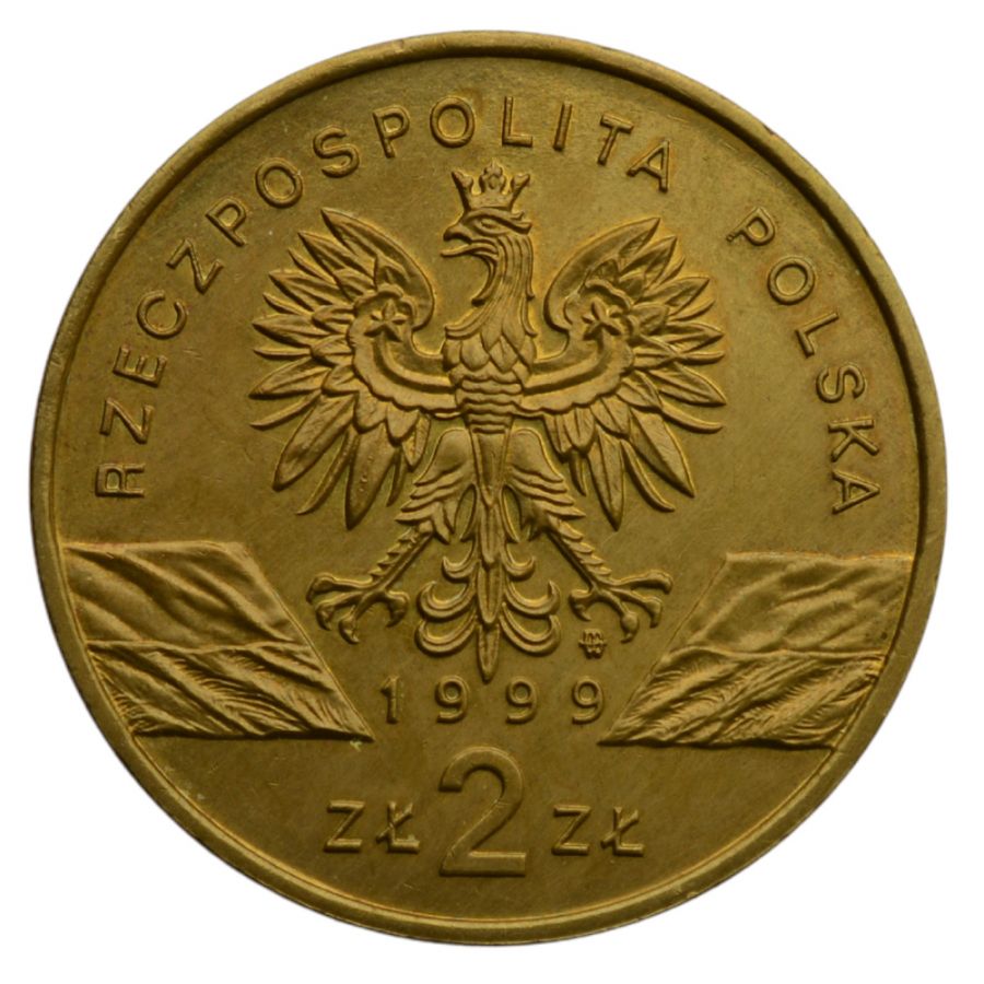2 osoby - Zwierzeta swiata - Wilki