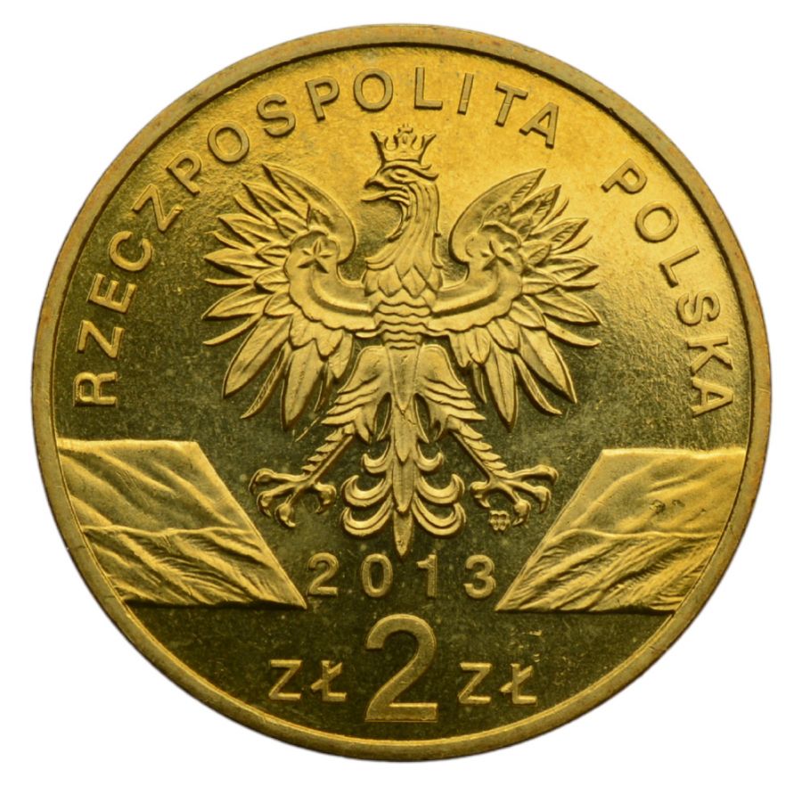2 osoby - Zwierzeta swiata - Zubr