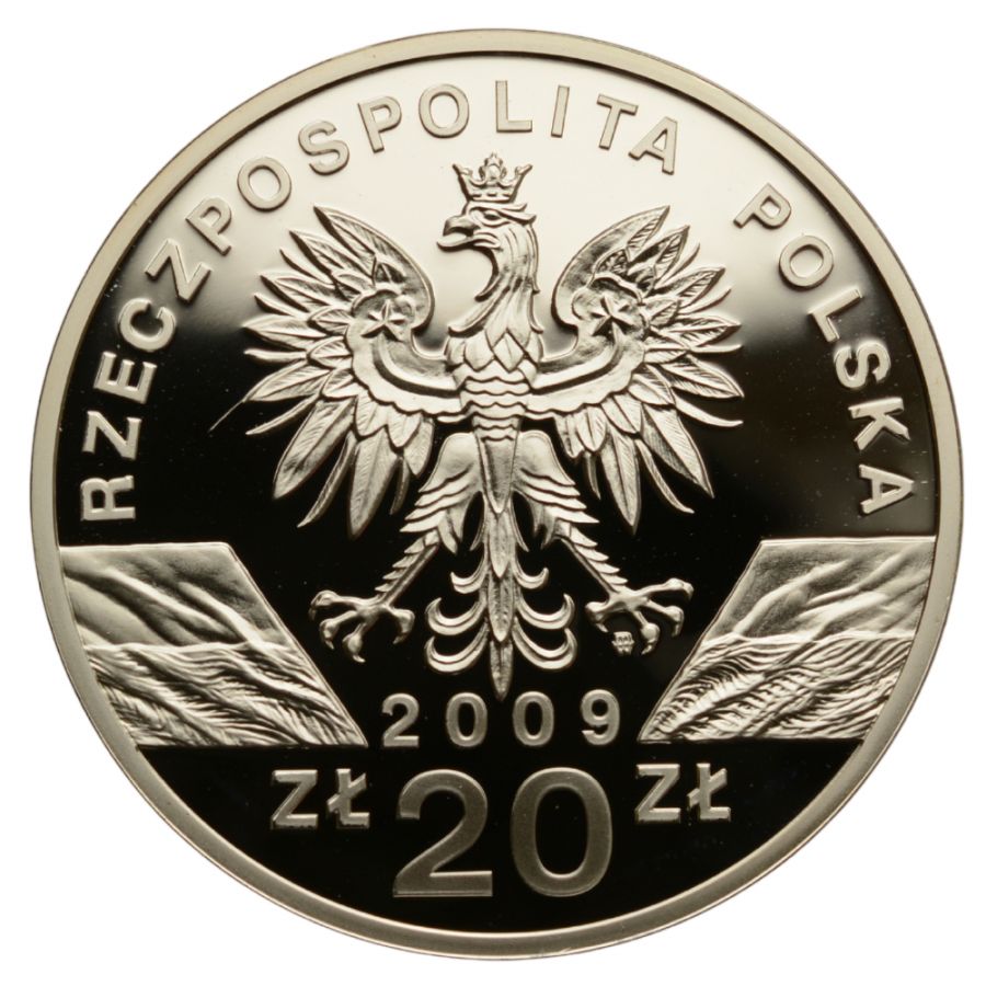 20 zlotych - Zwierzeta swiata - Jaszczurka zielona