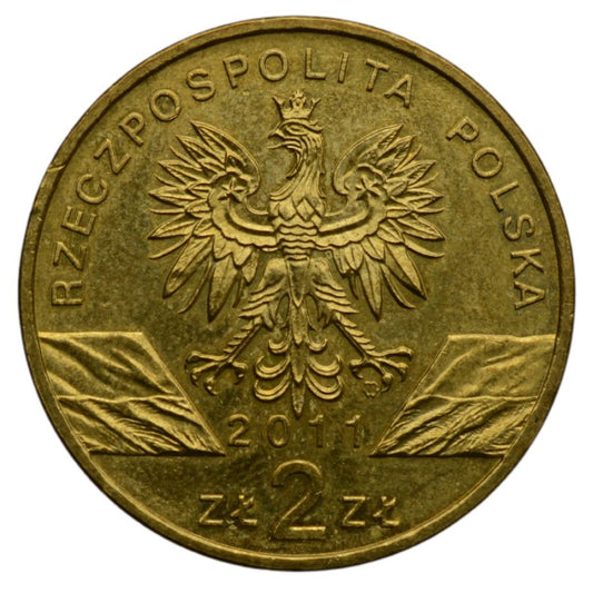 2 osoby - Zwierzeta swiata - Borsuk