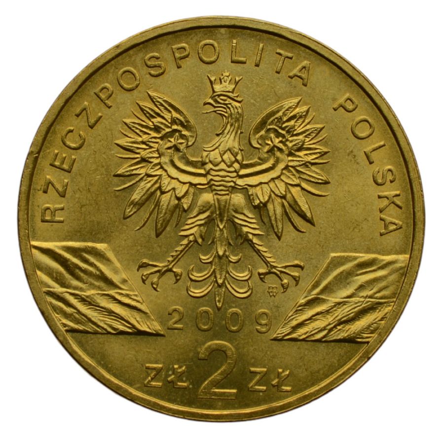 2 osobniki - Zwierzeta swiata - Jaszczurka zielona