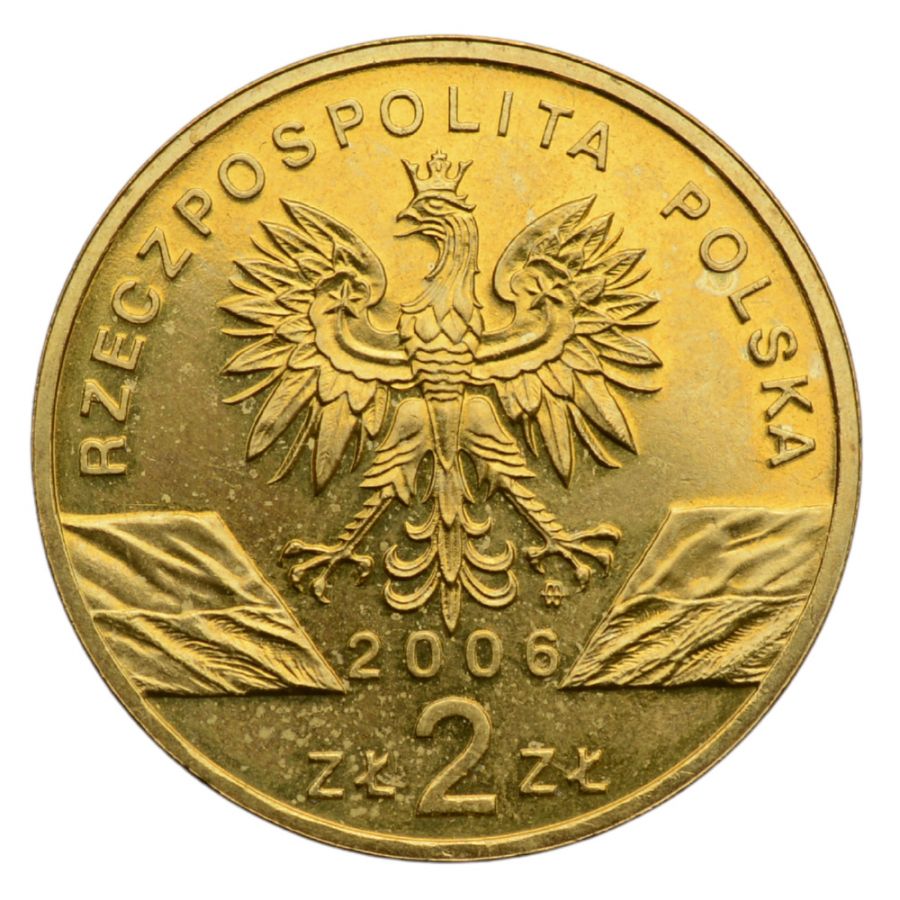 2 osoby - Zwierzeta swiata - Swistak