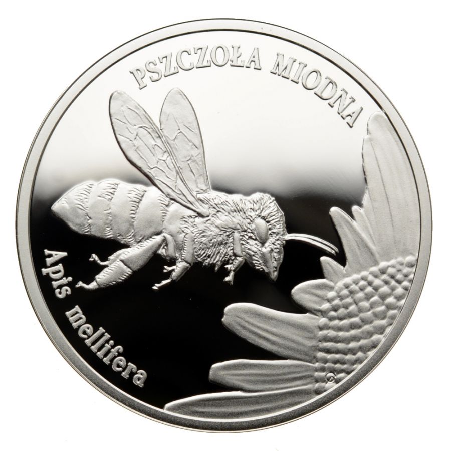 20 zlotych - Zwierzeta swiata - Pszczola miodna