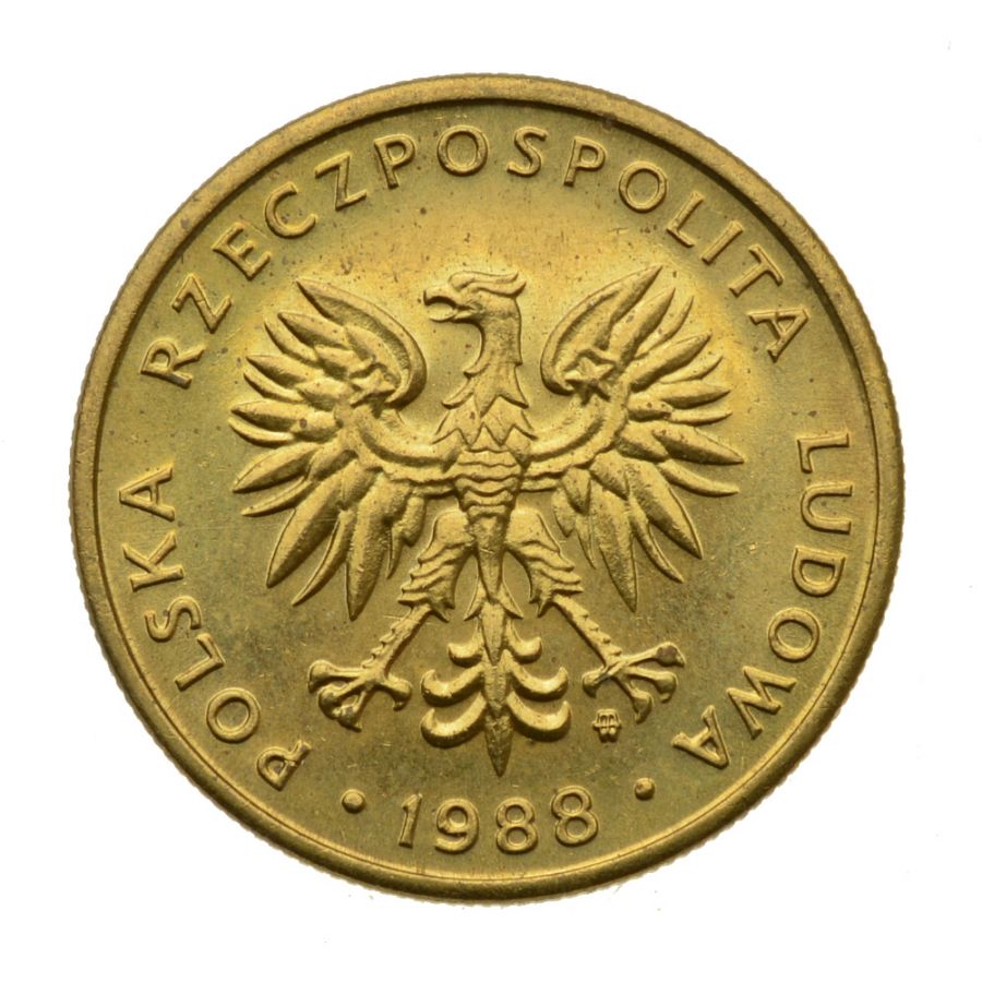 5 zlotych 1988 r. (M800)